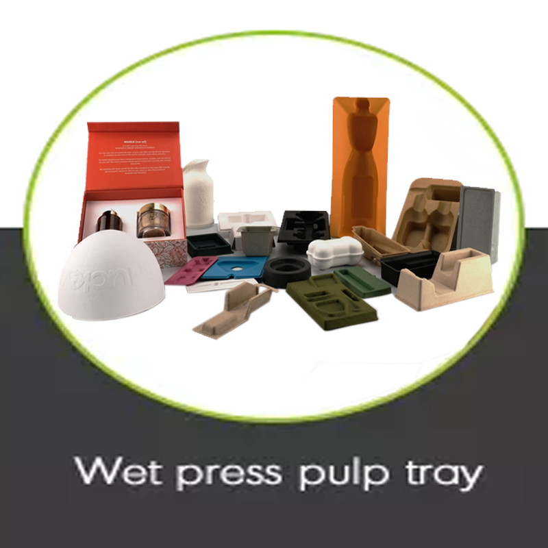 Wet press pulp tray