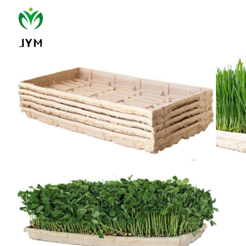 Biodegradable plant trays nurse