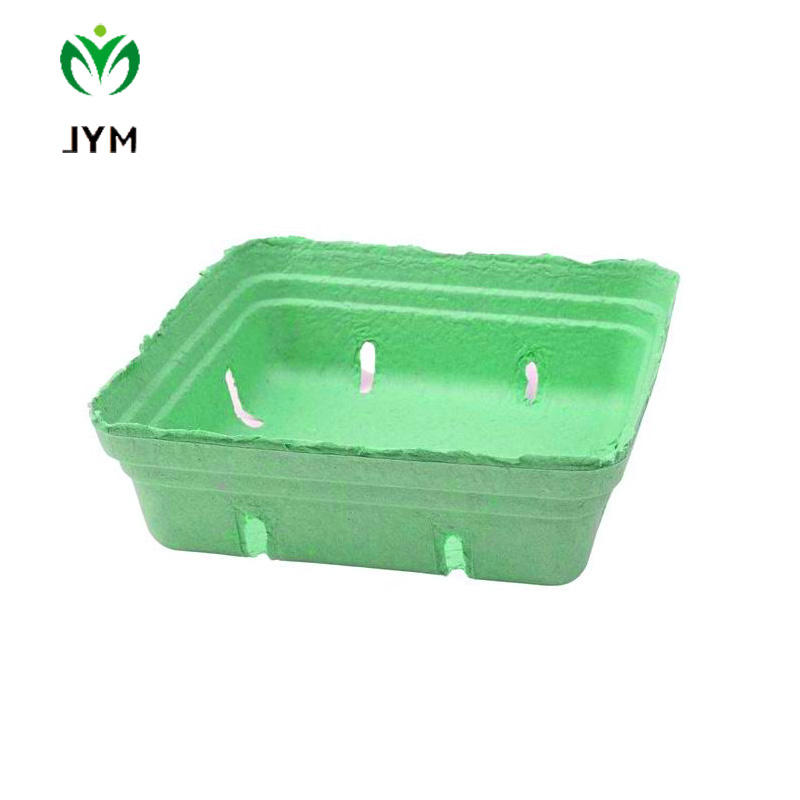 Paper Berry Sugarcane Grocery Tray
